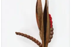 20131003 Klasse 1a  plantaardige sculptuur Internationale Wedstrijd - Concours international – Classe 1a: sculpture végétale (prof.) - 3 octobre 2013-002