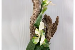 20131003 Klasse 1b  plantaardige sculptuur Internationale Wedstrijd - Concours international – Classe 1b: sculpture végétale - 3  octobre 2013-001