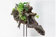 20131003 Klasse 1b  plantaardige sculptuur Internationale Wedstrijd - Concours international – Classe 1b: sculpture végétale - 3  octobre 2013-003