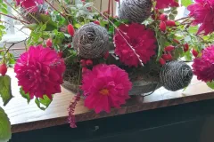 w-IMG_20221015_112657