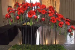 Activiteiten 2012 - Activités 2012