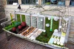 45 jaar BFAS - 29 december 2012 - 45 ans de la BFAS - 29 decembre 2012-22