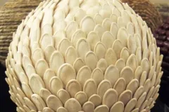 45 jaar BFAS - 29 december 2012 - 45 ans de la BFAS - 29 decembre 2012-41