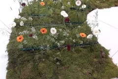 Activiteiten 2017 - Activités 2017