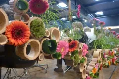  50 jaar BFAS op 18 mei 2017 - 50 ans BFAS - 18 mai 2017-005