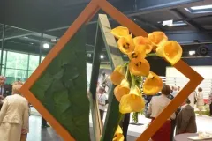  50 jaar BFAS op 18 mei 2017 - 50 ans BFAS - 18 mai 2017-010