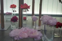  50 jaar BFAS op 18 mei 2017 - 50 ans BFAS - 18 mai 2017-015