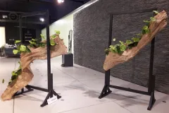  50 jaar BFAS op 18 mei 2017 - 50 ans BFAS - 18 mai 2017-021