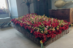 IMG-20250510-WA0000-2