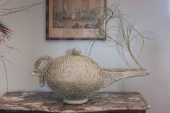 exposition-amaryllis-a-Beloeil-2025-23