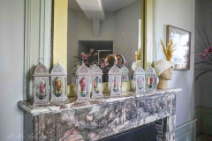 exposition-amaryllis-a-Beloeil-2025-27