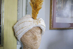 exposition-amaryllis-a-Beloeil-2025-28