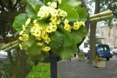 Bloemenrally Malmedy 9 september 2010 - - Rallye Fleuri Malmedy - 9 septembre 2010-013