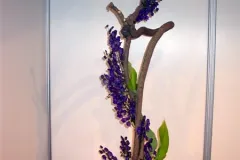 BLOOM 7 juli 2012 - BLOOM 7 juillet 2012-1