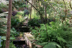 5-pm-Jardin-exotique-de-Kestellic