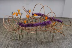 BrD-DSCF0566-Modifier-scaled