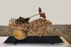 Mit-DSCF0572-Modifier-Modifier-scaled