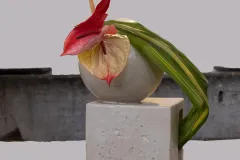 Mit-DSCF0631-Modifier-Modifier-scaled