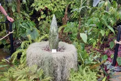 Jardin-botanique-Jean-Marie-Pelt-a-Nancy-2