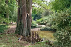jardin-botanique-Metz