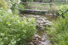 jardin-de-Marguerite-2