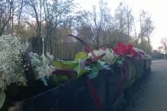 Activiteiten 2015 - Activités 2015