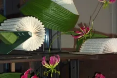 Florilegio - 26 november 2015 - Florilegio - 26 novembre 2015-05