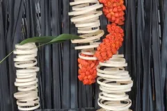 Florilegio - 26 november 2015 - Florilegio - 26 novembre 2015-29