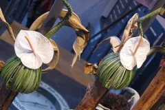 Florilegio - 26 november 2015 - Florilegio - 26 novembre 2015-37