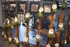 Florilegio - 26 november 2015 - Florilegio - 26 novembre 2015-39