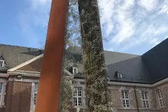 Activiteiten 2019 - Activités 2019