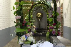 Fonteinen in Bloei - 20 september 2019 - Fontaines en Fleurs - 20 septembre 2019-008