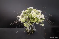 Geert Patyn in oostende 2023