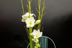 Geert Patyn in oostende 2023