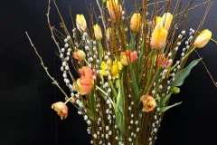 Geert Patyn in oostende 2023