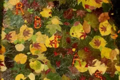 Hotel de Clercx  2022