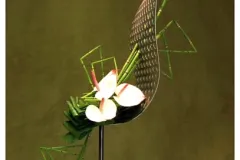 Internationale wedstrijd – Klasse 8: het opvliegen op 3 oktober 2013 - Concours international – Classe 8: Voler - 3 Octobre 2013-1