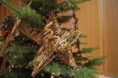 Kerst in de muziekkapel Koningin Elisabeth op 17 november 2016 - Noël à la chapelle musicale Reine Elisabeth - 17 novembre 2016-08