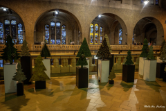 mons-charleroi-1-scaled