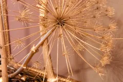 Nationaal activiteit: Kerst RBFAS op 6 en 7 december 2018 - Activité nationale : Noël RBFAS - 6 et 7 décembre  -018