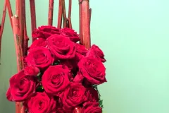 Nationaal activiteit: Kerst RBFAS op 6 en 7 december 2018 - Activité nationale : Noël RBFAS - 6 et 7 décembre  -021