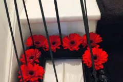 Nationaal activiteit: Kerst RBFAS op 6 en 7 december 2018 - Activité nationale : Noël RBFAS - 6 et 7 décembre  -022