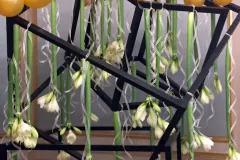 Nationaal activiteit: Kerst RBFAS op 6 en 7 december 2018 - Activité nationale : Noël RBFAS - 6 et 7 décembre  -025