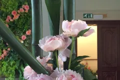 Plantentuin Meise – juni 2018 - Jardin Botanique Meise – juin 2018-001