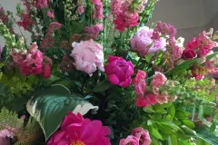 Plantentuin Meise – juni 2018 - Jardin Botanique Meise – juin 2018-004