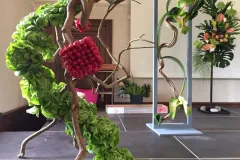 Plantentuin Meise – juni 2018 - Jardin Botanique Meise – juin 2018-008