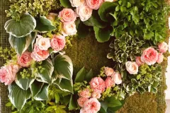 Plantentuin Meise – juni 2018 - Jardin Botanique Meise – juin 2018-010