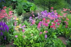 Reis naar Ierland 13 juni 2010 - Voyage en Irlande - 13 juin 2010-07