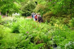 Reis naar Ierland 13 juni 2010 - Voyage en Irlande - 13 juin 2010-11