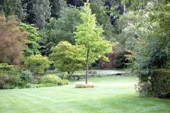 Tuinenrally 5 juni 2012 - 	Rallye-jardins - 5 juin 2012  -01